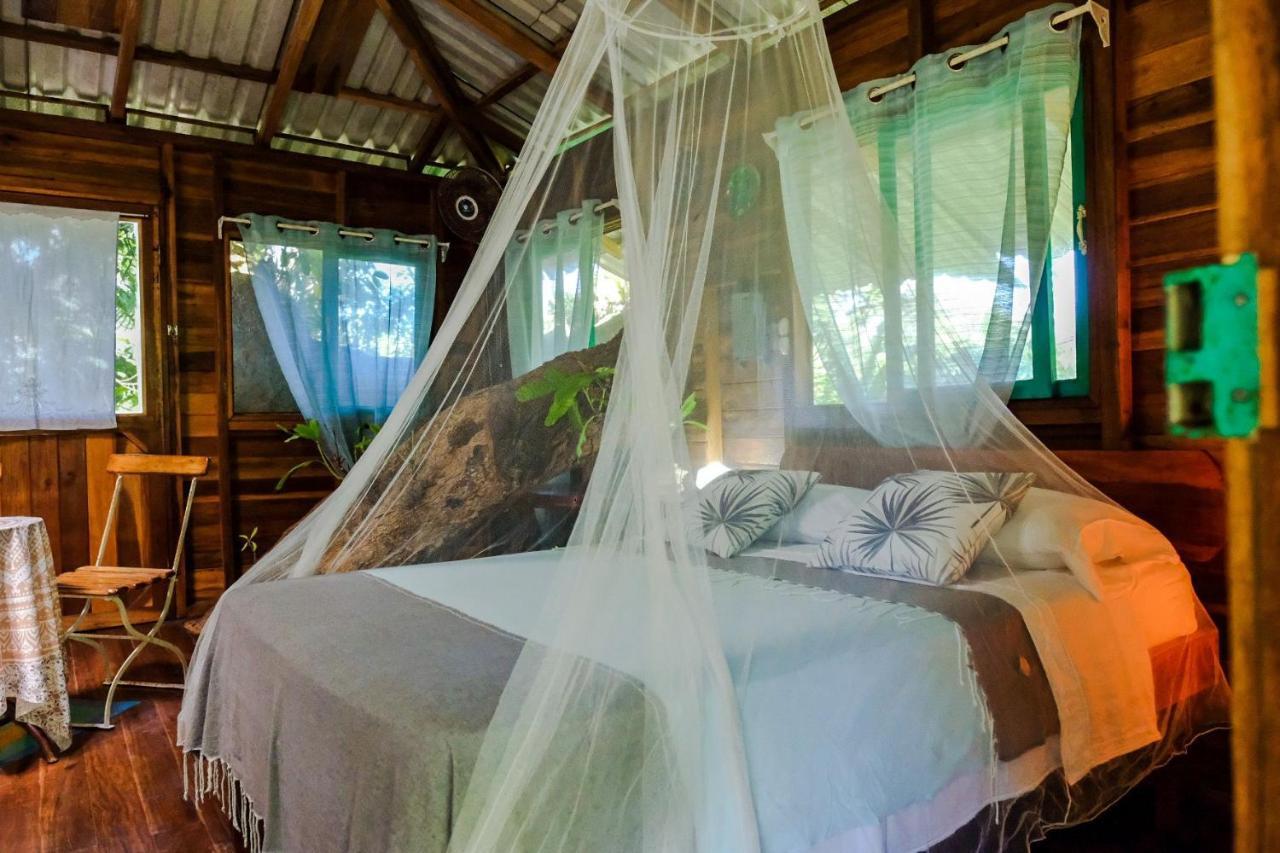 Playa Grande Lodge & Tree House Cahuita Zewnętrze zdjęcie