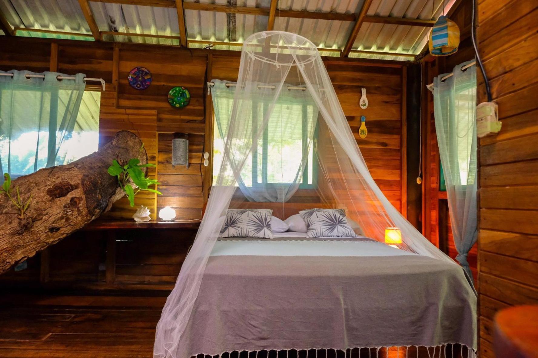 Playa Grande Lodge & Tree House Cahuita Zewnętrze zdjęcie
