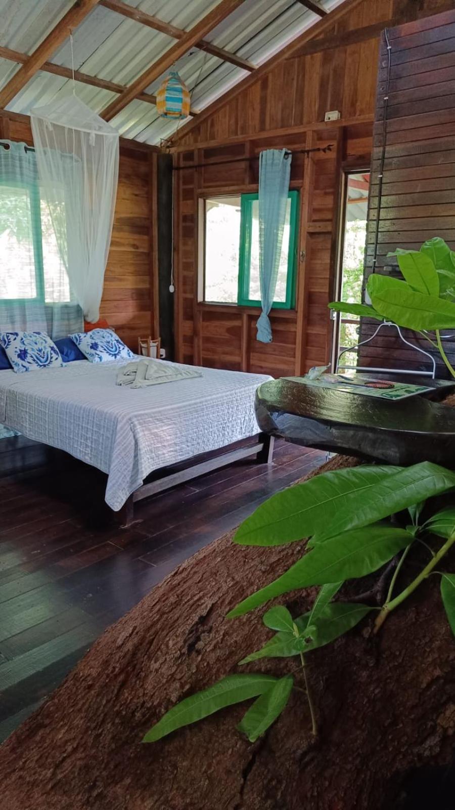Playa Grande Lodge & Tree House Cahuita Zewnętrze zdjęcie
