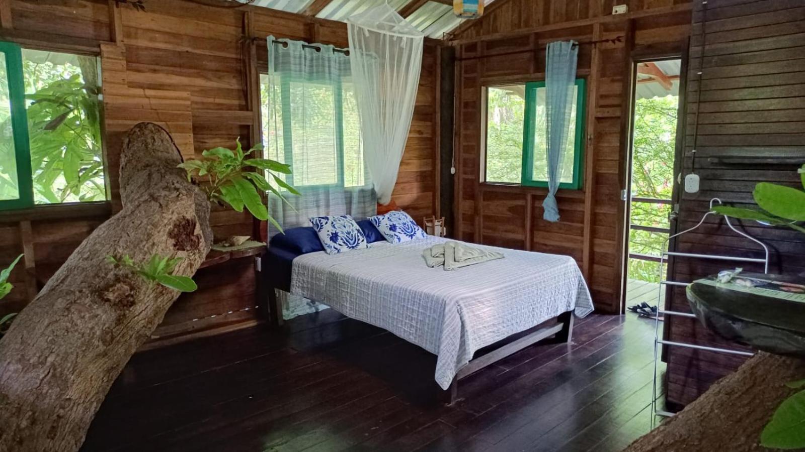 Playa Grande Lodge & Tree House Cahuita Zewnętrze zdjęcie