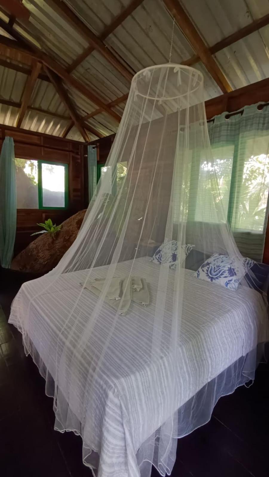 Playa Grande Lodge & Tree House Cahuita Zewnętrze zdjęcie