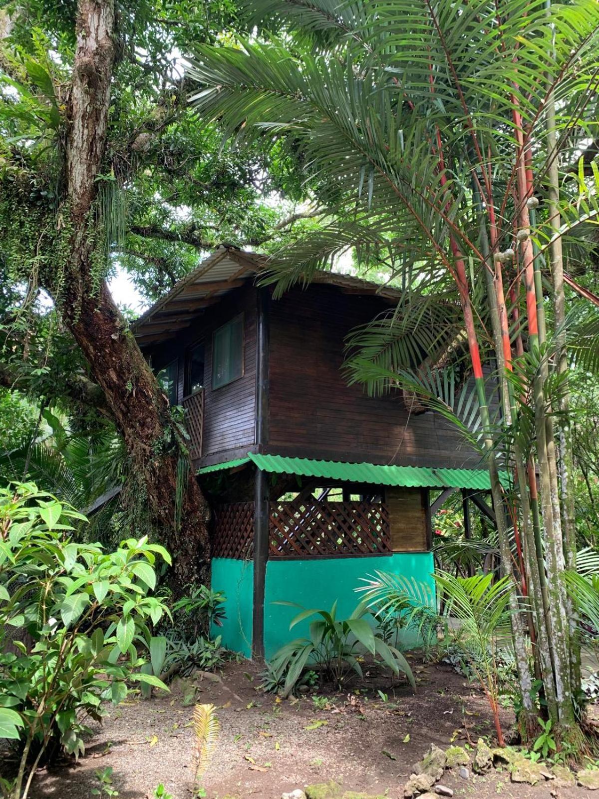 Playa Grande Lodge & Tree House Cahuita Zewnętrze zdjęcie