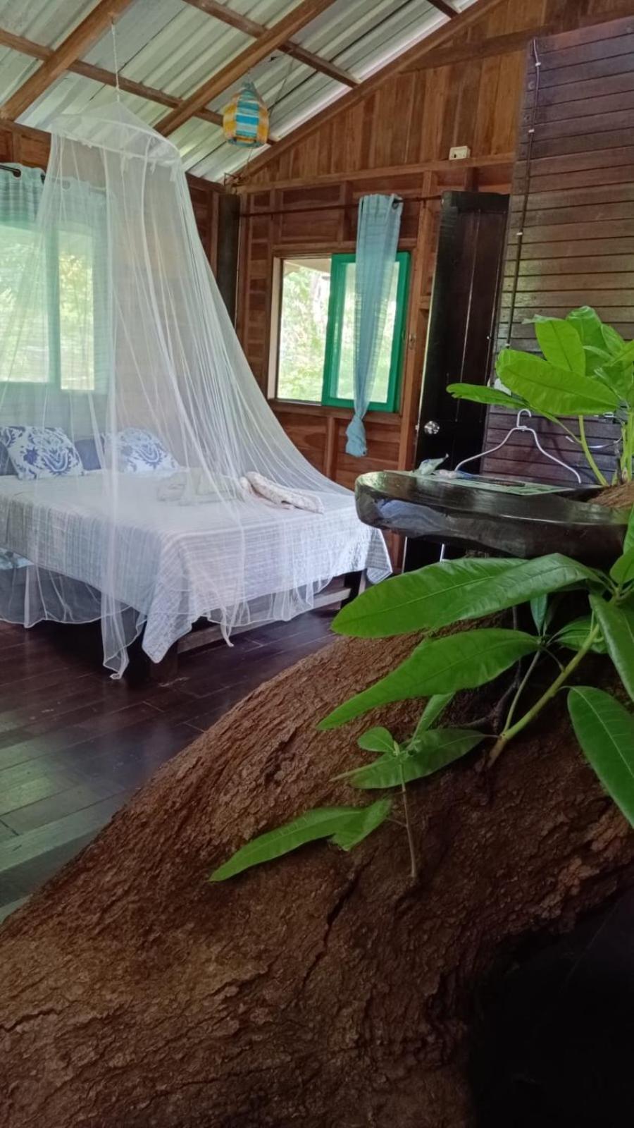 Playa Grande Lodge & Tree House Cahuita Zewnętrze zdjęcie
