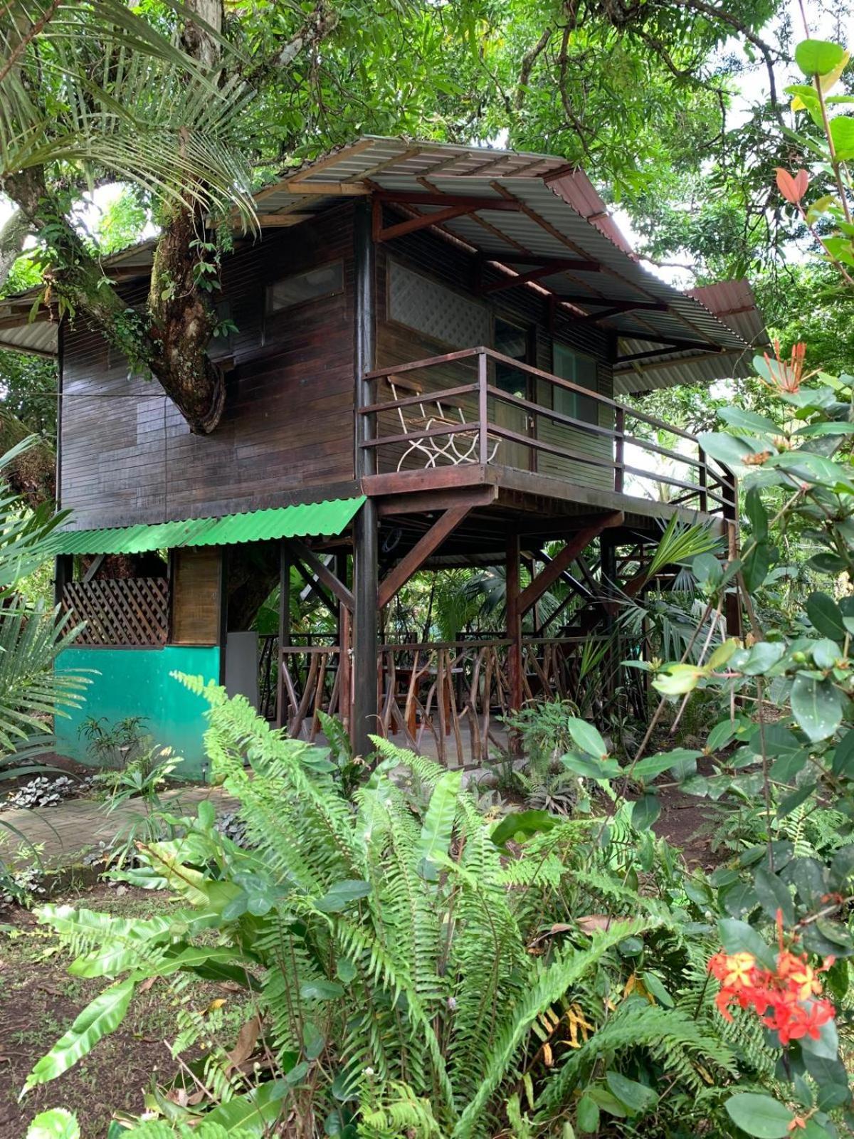 Playa Grande Lodge & Tree House Cahuita Zewnętrze zdjęcie