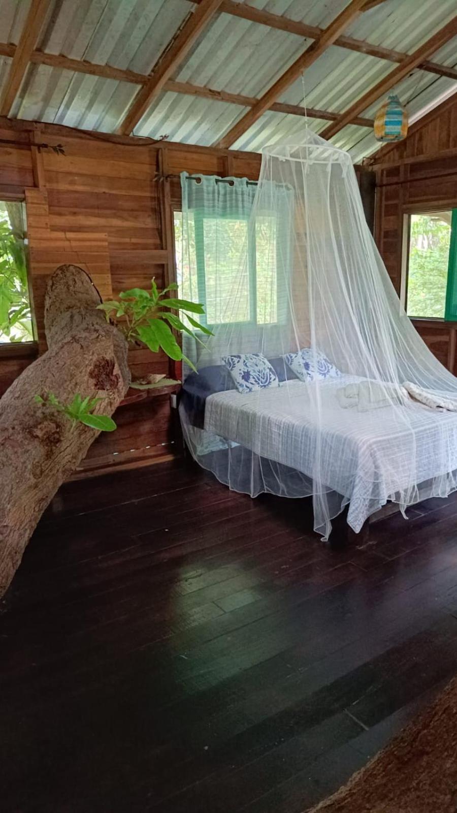 Playa Grande Lodge & Tree House Cahuita Zewnętrze zdjęcie