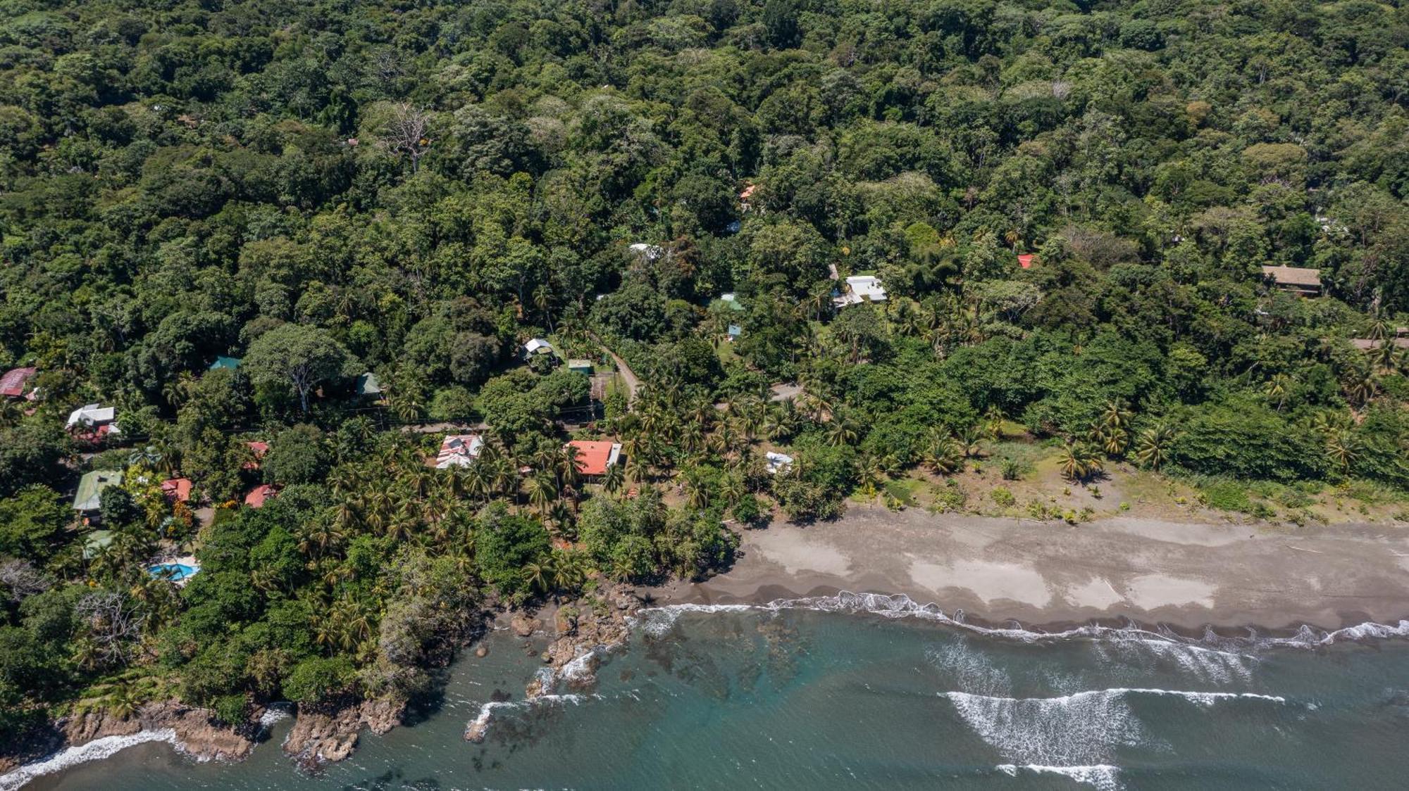 Playa Grande Lodge & Tree House Cahuita Zewnętrze zdjęcie