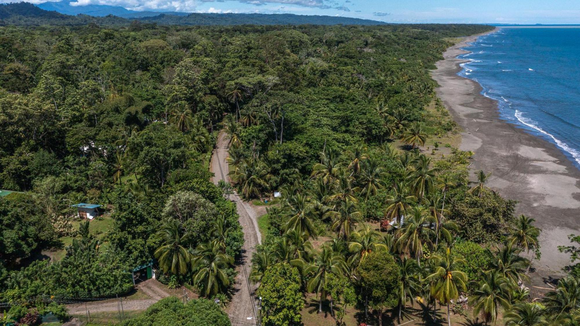 Playa Grande Lodge & Tree House Cahuita Zewnętrze zdjęcie