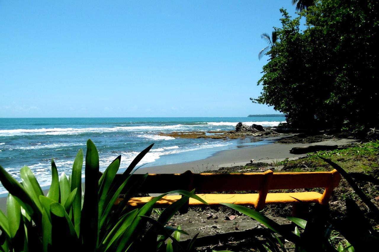 Playa Grande Lodge & Tree House Cahuita Zewnętrze zdjęcie