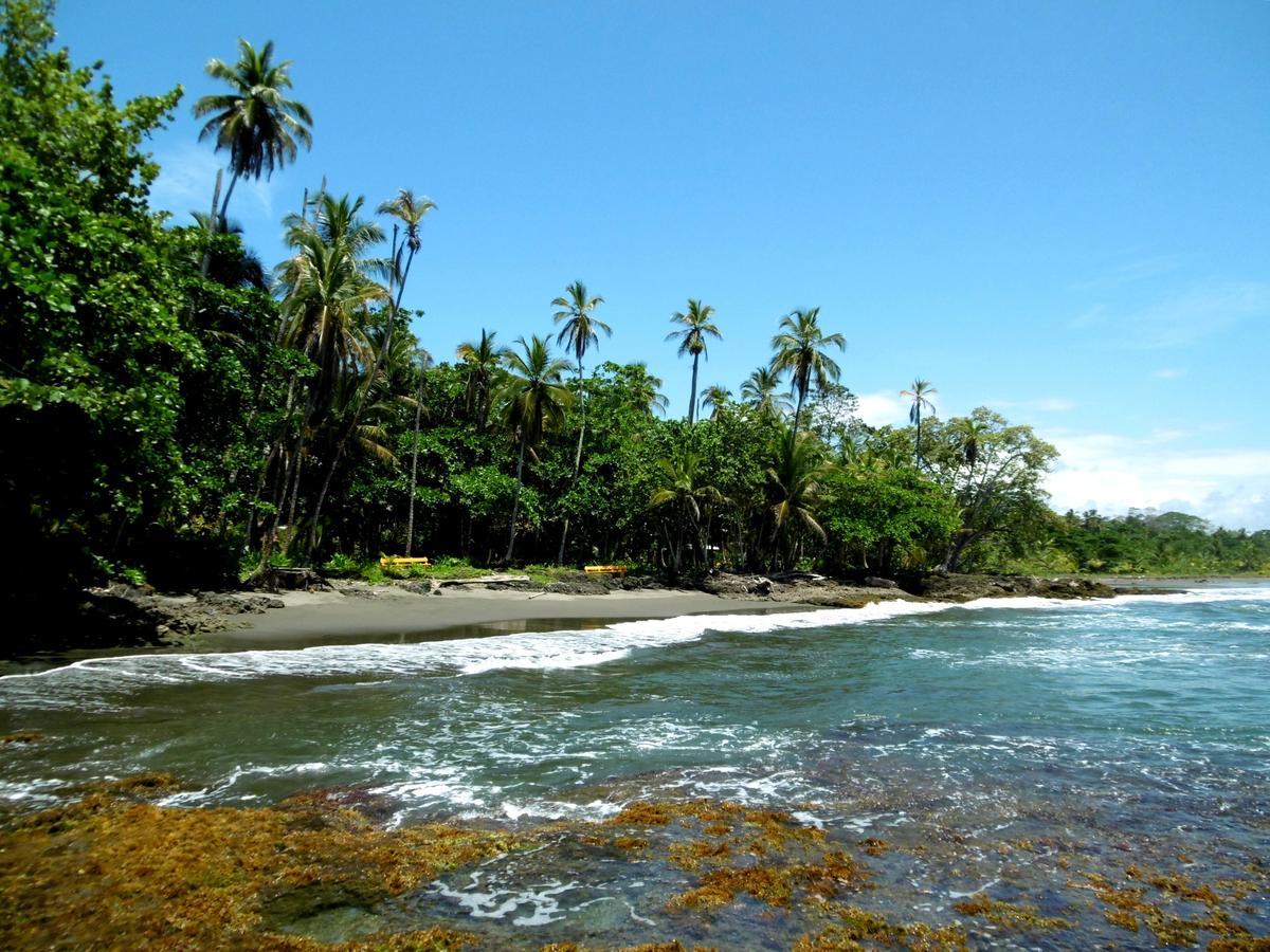 Playa Grande Lodge & Tree House Cahuita Zewnętrze zdjęcie