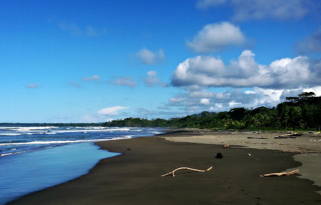 Playa Grande Lodge & Tree House Cahuita Zewnętrze zdjęcie